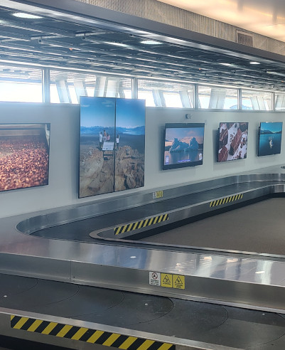 EL CALAFATE, BAGGAGE BELT